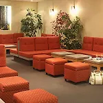 Hotel Acadia Lurdy